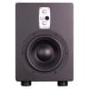 Студийные сабвуферы EVE AUDIO TS108